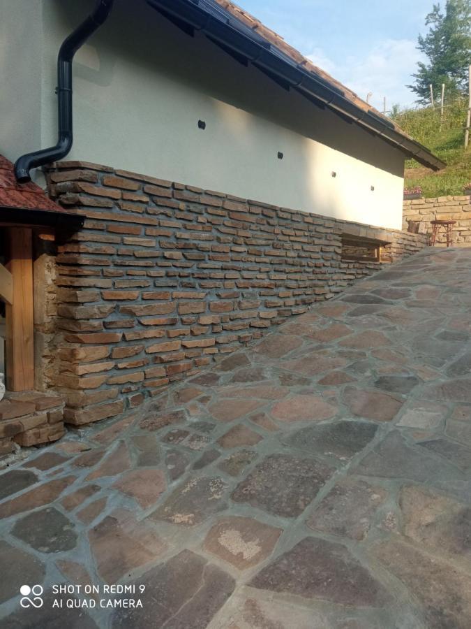 Zavojsko Jezero - Vila Jezero Pirot Exterior photo